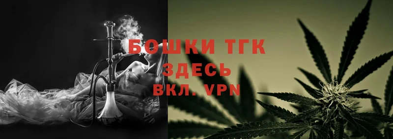 Каннабис OG Kush  Губаха 